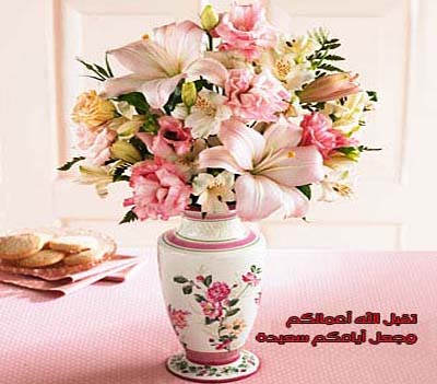 aleed2
